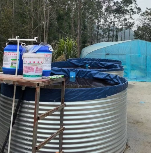 工廠化生產(chǎn)浮萍12.jpg 工廠化生產(chǎn)浮萍12.jpg