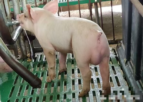 5a411115bcfd71e13a698cc4846b736.jpg 5a411115bcfd71e13a698cc4846b736.jpg