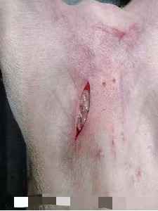 2878b47900c04cf19bab6d672948301.jpg 2878b47900c04cf19bab6d672948301.jpg