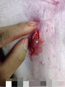 50170b2b36cb21658e5ac30fadc794d.jpg 50170b2b36cb21658e5ac30fadc794d.jpg