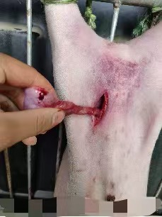 6ada5b70f595de6ac1ce2f628aa03e1.jpg 6ada5b70f595de6ac1ce2f628aa03e1.jpg