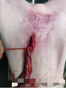 5d828a09af0e7556e5fdc84706dc35c.jpg 5d828a09af0e7556e5fdc84706dc35c.jpg