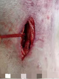 64677426bf5ba571b760a185a8a6a1f.jpg 64677426bf5ba571b760a185a8a6a1f.jpg