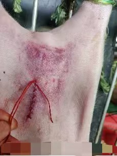 648c66894b822e702629fe162690322.jpg 648c66894b822e702629fe162690322.jpg