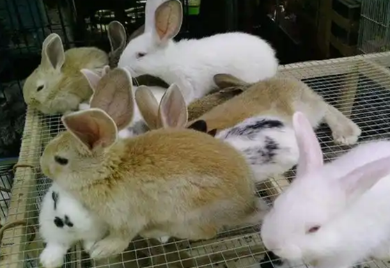 2F8DCF384E2FEC8B43B9CBEBD51652C4.png 2F8DCF384E2FEC8B43B9CBEBD51652C4.png