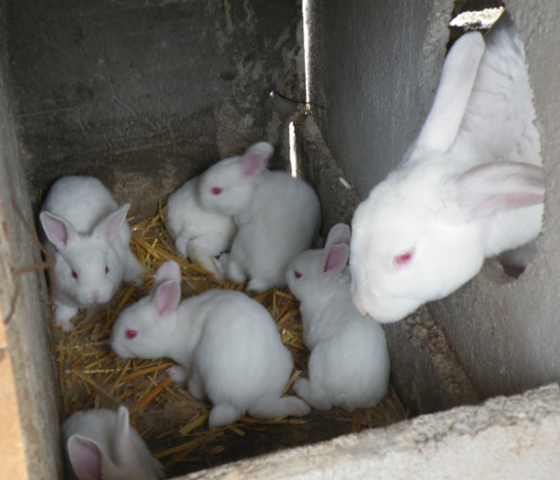 B943A0D892788D2E33FC3EDFDA725735.png B943A0D892788D2E33FC3EDFDA725735.png