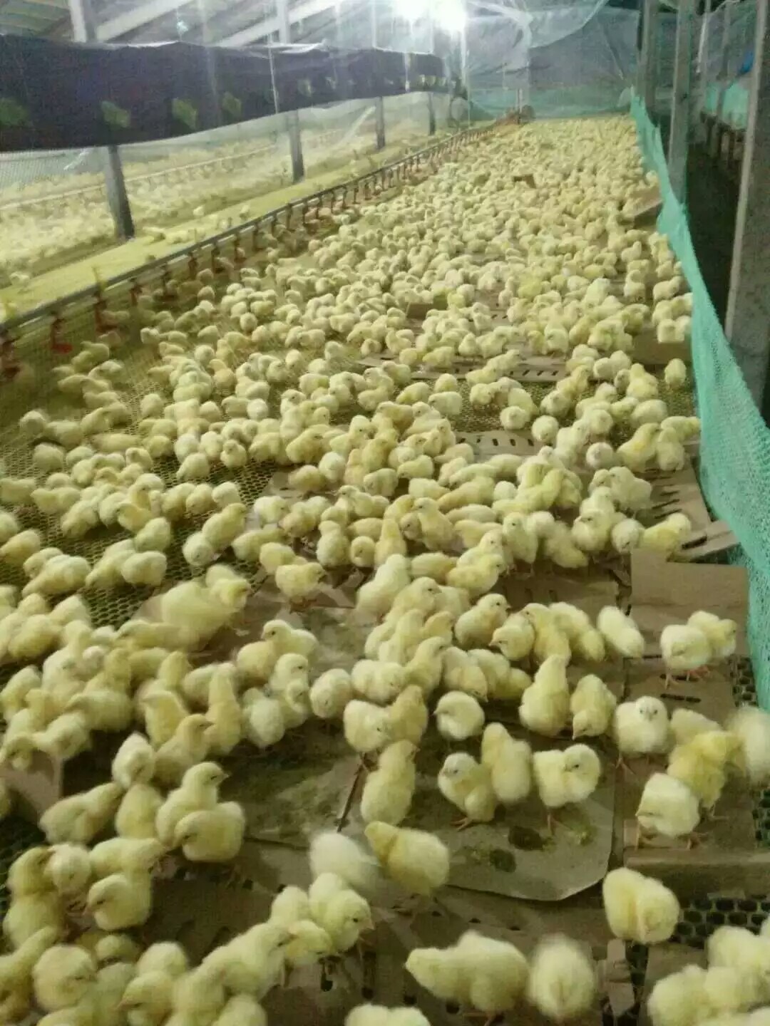 微信圖片_20241225112058.jpg 微信圖片_20241225112058.jpg