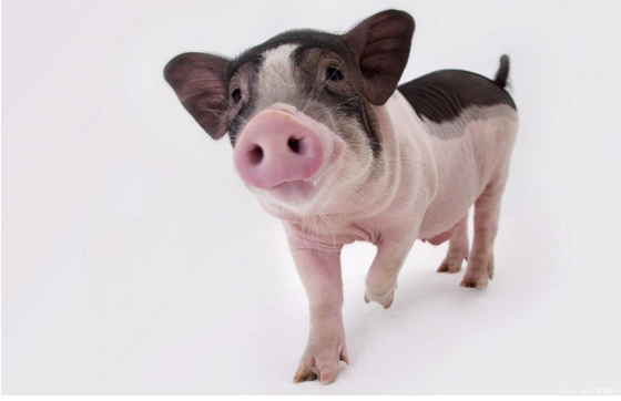 QQ瀏覽器截圖20241226103032.png QQ瀏覽器截圖20241226103032.png