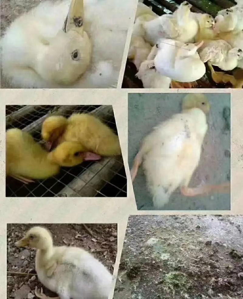 微信圖片_20241226113801.jpg 微信圖片_20241226113801.jpg