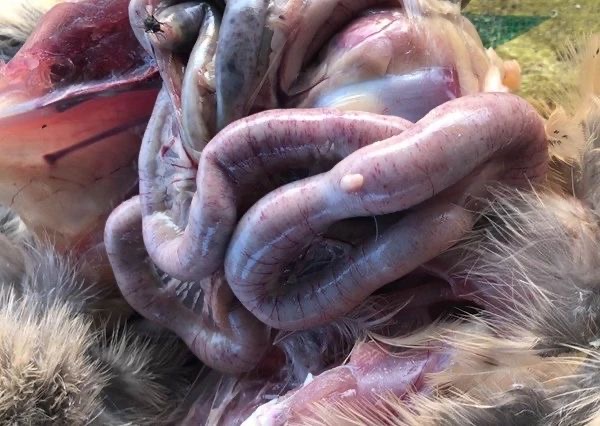 微信圖片_20241230105244.jpg 微信圖片_20241230105244.jpg