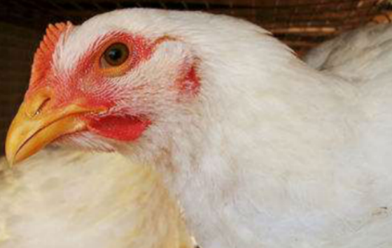 0615BA3F9FDDCCDDB5A64D6BC8AD621E.png 0615BA3F9FDDCCDDB5A64D6BC8AD621E.png