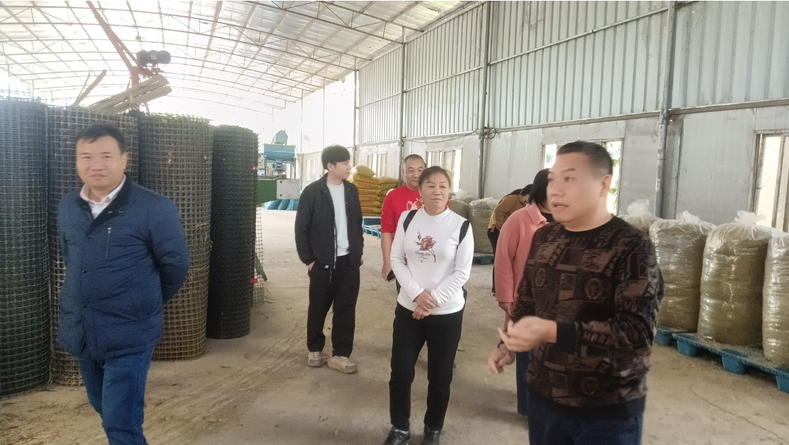 廣西家禽業協會韋鳳英會長在廣西助農公司生態循環養殖基地發酵飼料生產區調研.png
