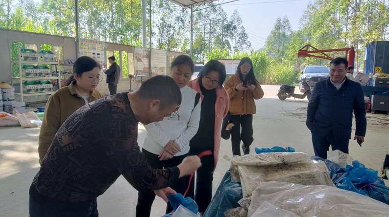廣西家禽業協會韋鳳英會長在廣西助農公司生態循環養殖基地發酵飼料生產區調研2.png