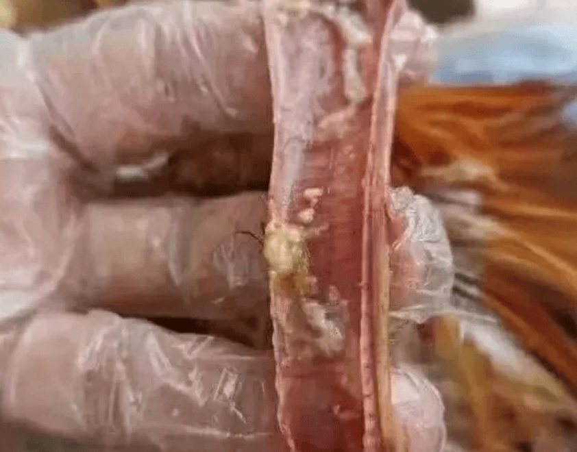 微信截圖_20250103091226.jpg 微信截圖_20250103091226.jpg