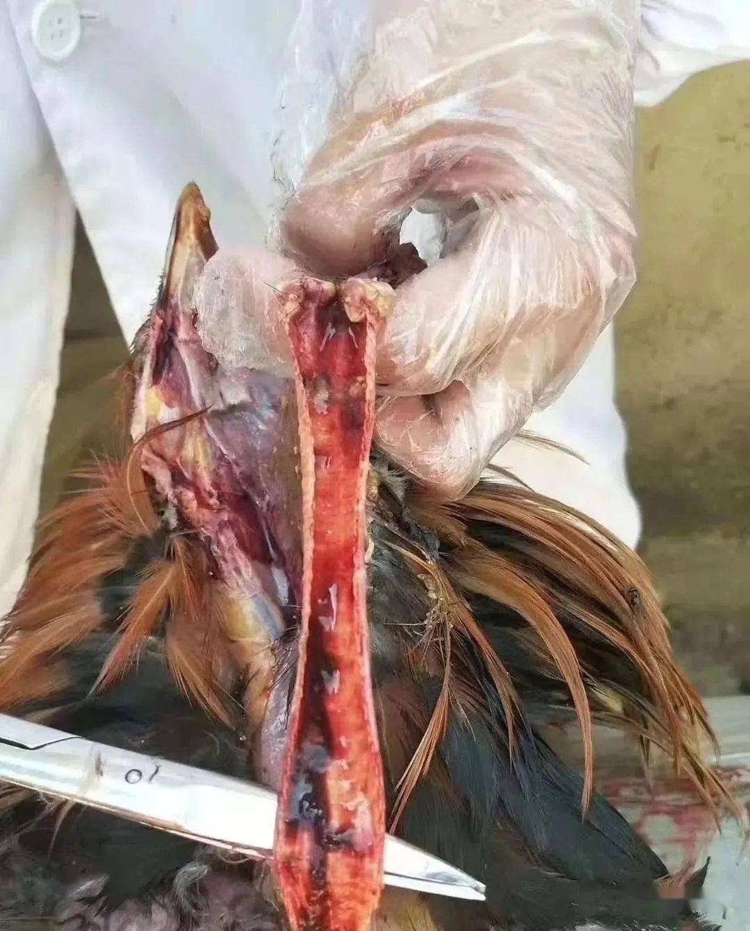 微信圖片_20250103091211.jpg 微信圖片_20250103091211.jpg