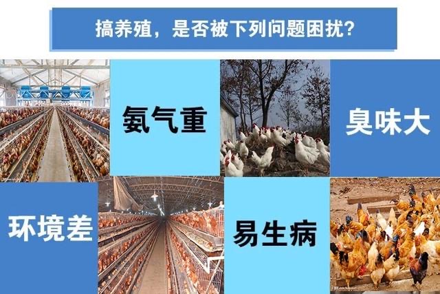 微信圖片_20250105105226.jpg 微信圖片_20250105105226.jpg