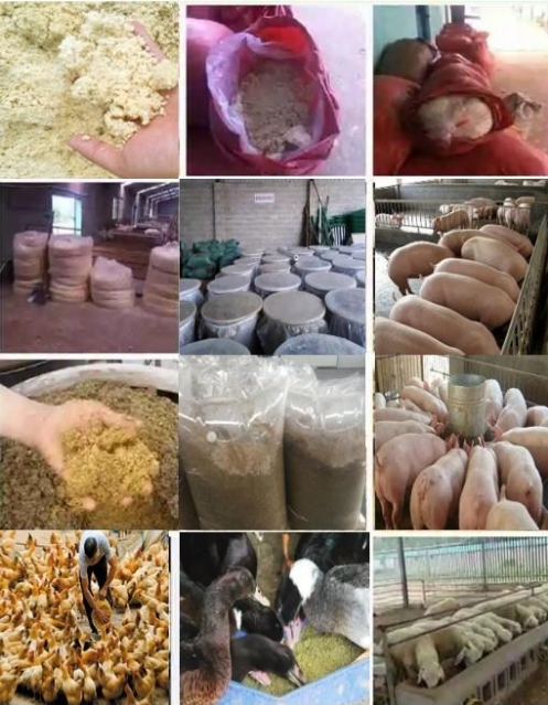 微信截圖_20250105110422.jpg 微信截圖_20250105110422.jpg