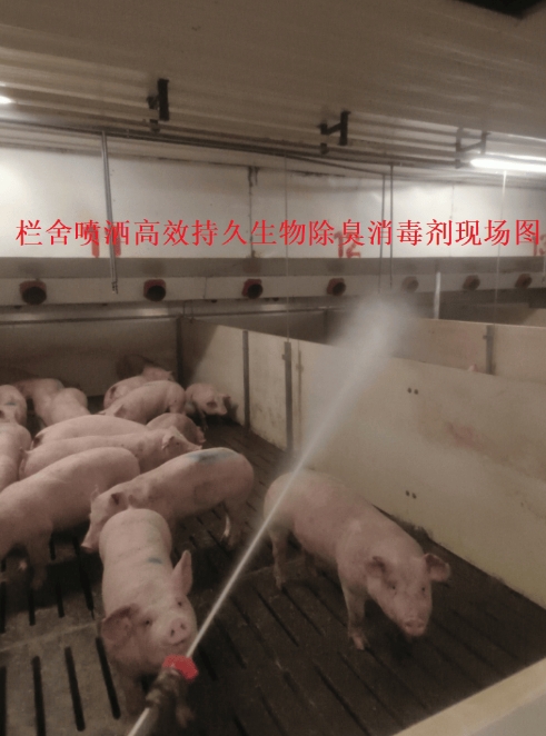 微信截圖_20250105104852.jpg 微信截圖_20250105104852.jpg