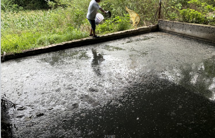 1722303541127460.jpg 1722303541127460.jpg