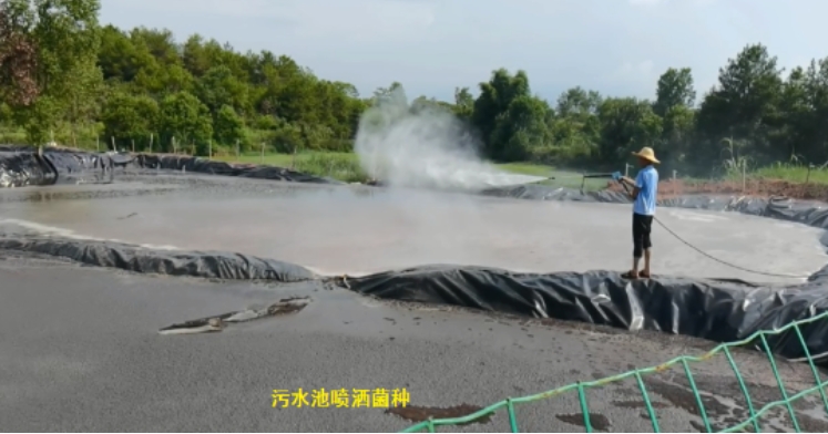 17337121061275449.jpg 17337121061275449.jpg