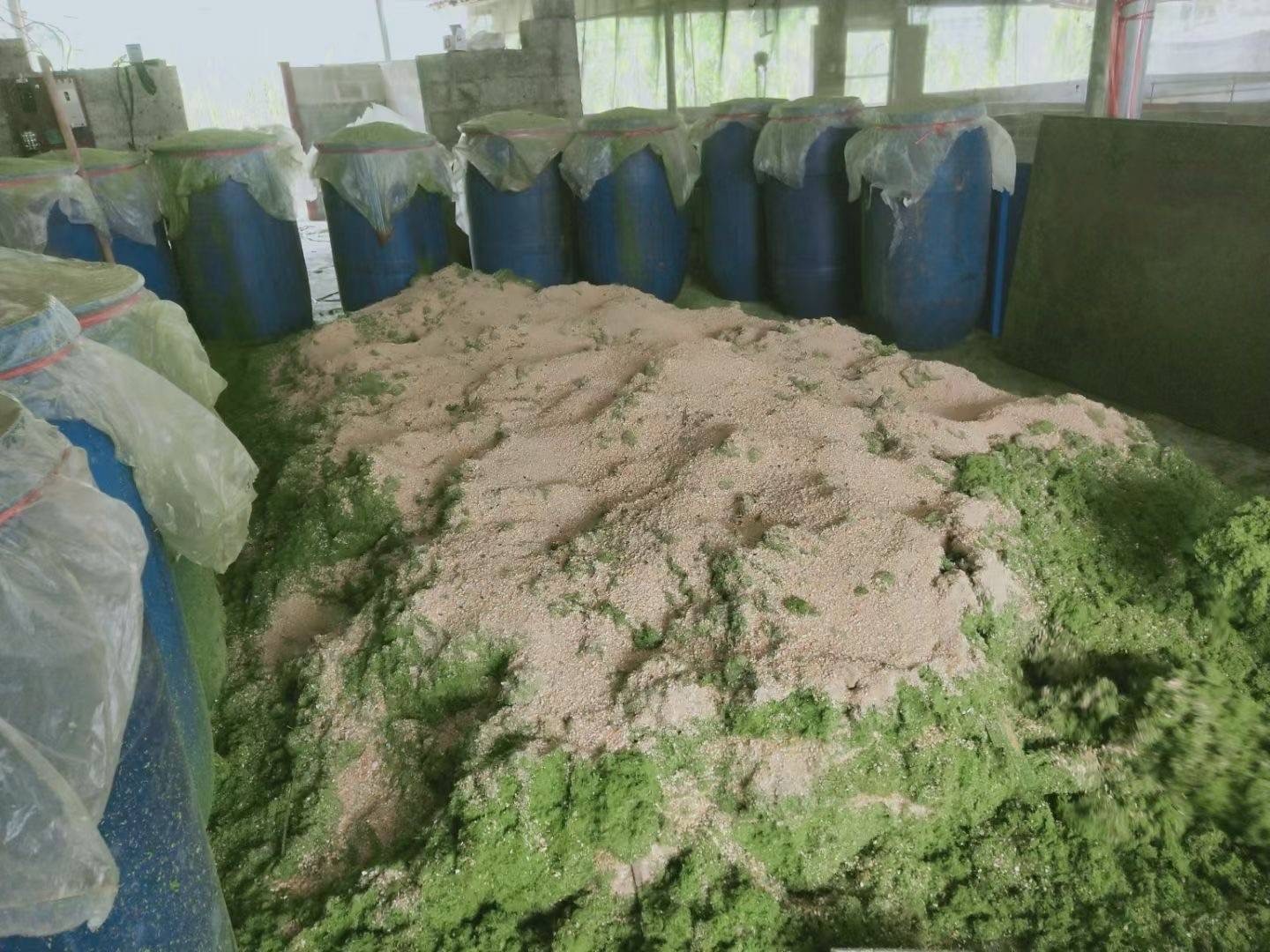 微信圖片_20250106113400.jpg 微信圖片_20250106113400.jpg