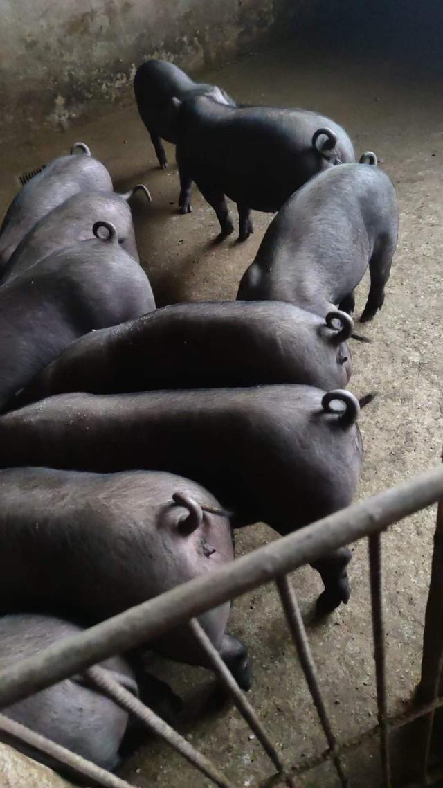 微信圖片_20250106113417.jpg 微信圖片_20250106113417.jpg