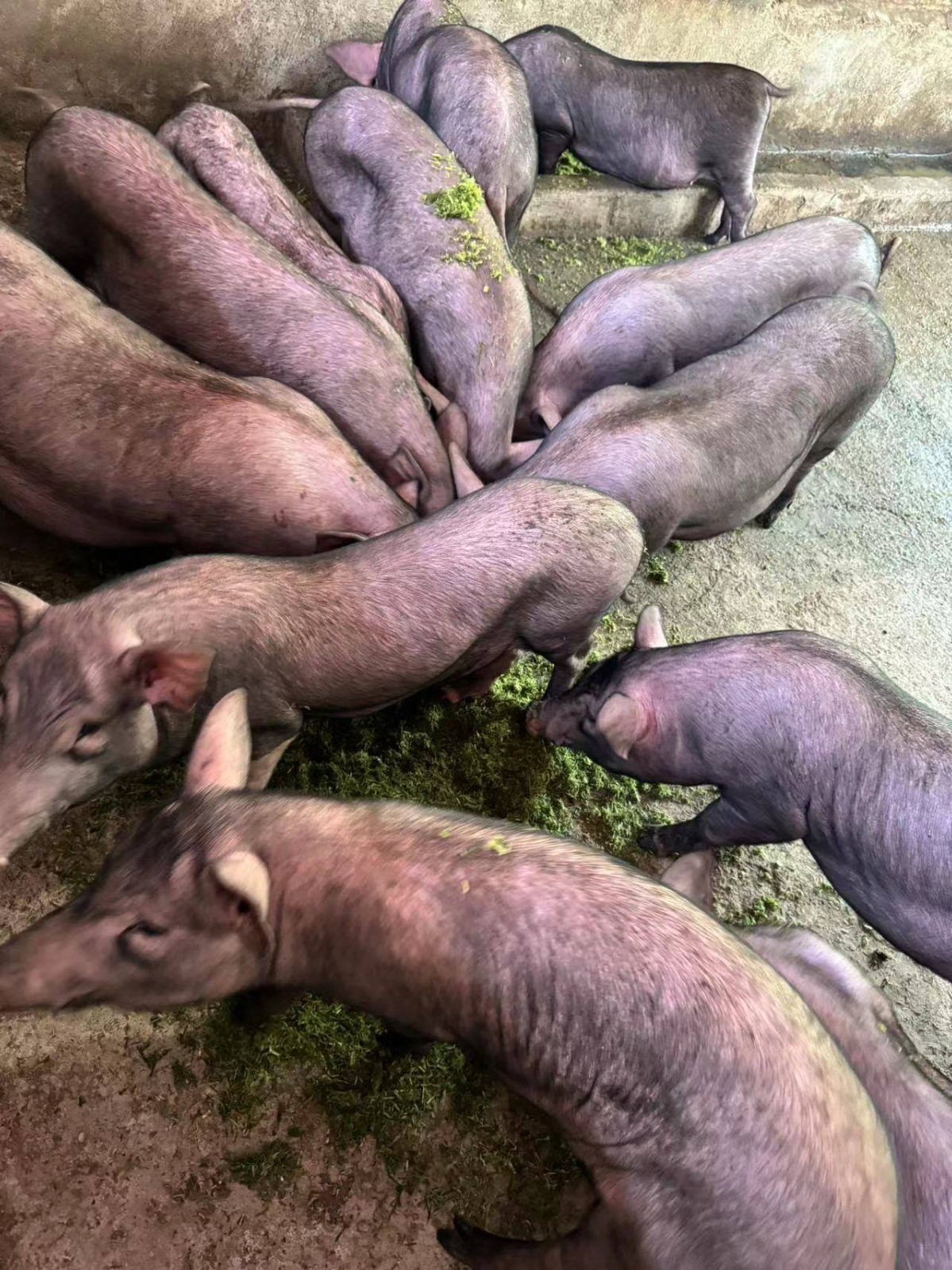 微信圖片_20250106113454.jpg 微信圖片_20250106113454.jpg