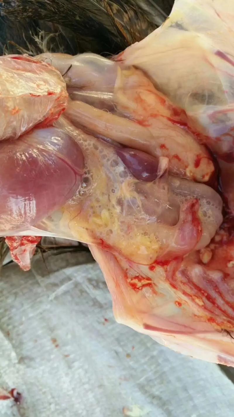 微信圖片_20250107092843.jpg 微信圖片_20250107092843.jpg