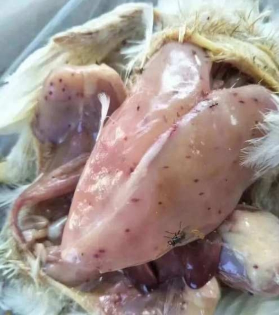 微信截圖_20250110102138.jpg 微信截圖_20250110102138.jpg