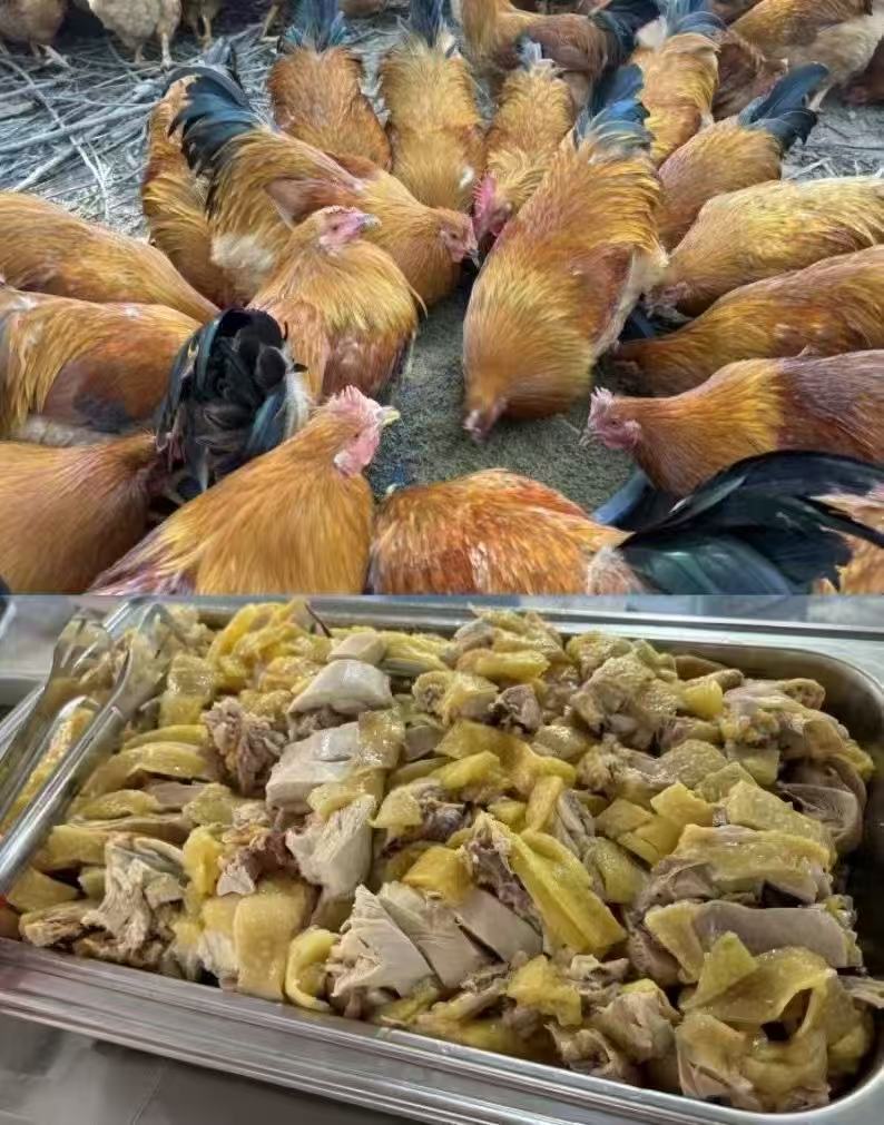 微信圖片_20250112164500.jpg 微信圖片_20250112164500.jpg