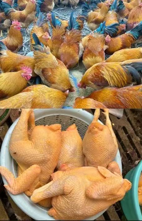 微信圖片_20250112164831.jpg 微信圖片_20250112164831.jpg