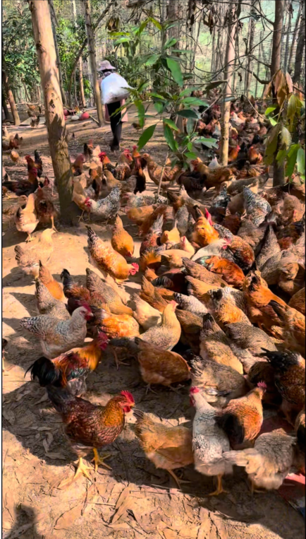 QQ圖片20250115131520.png QQ圖片20250115131520.png