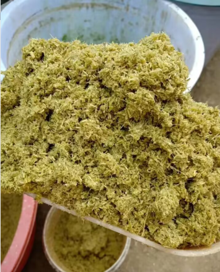 QQ圖片20230704151144.png QQ圖片20230704151144.png