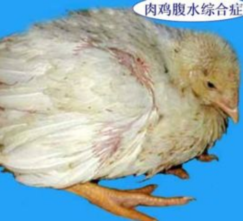 QQ圖片20250116100405.png QQ圖片20250116100405.png