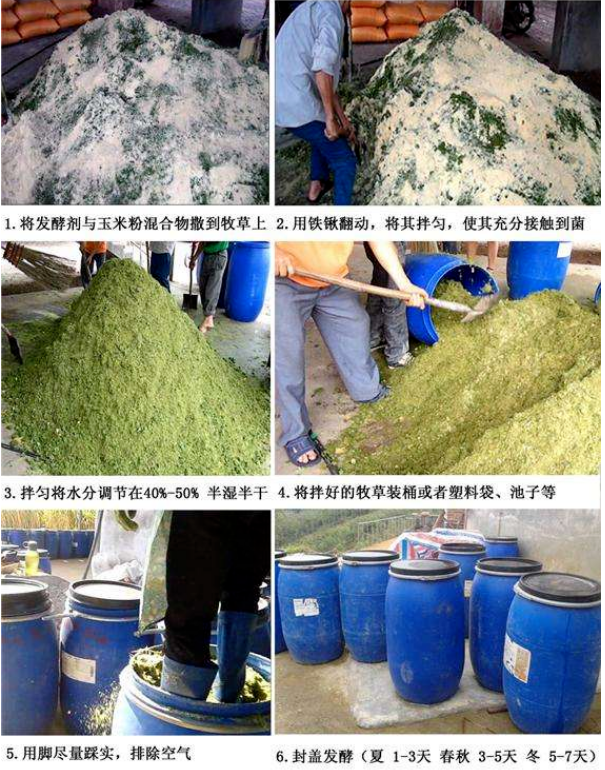 發酵牧草(發酵方法).png 發酵牧草(發酵方法).png