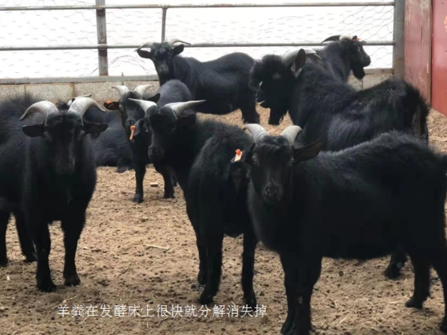 微信截圖_20250117113731.jpg 微信截圖_20250117113731.jpg