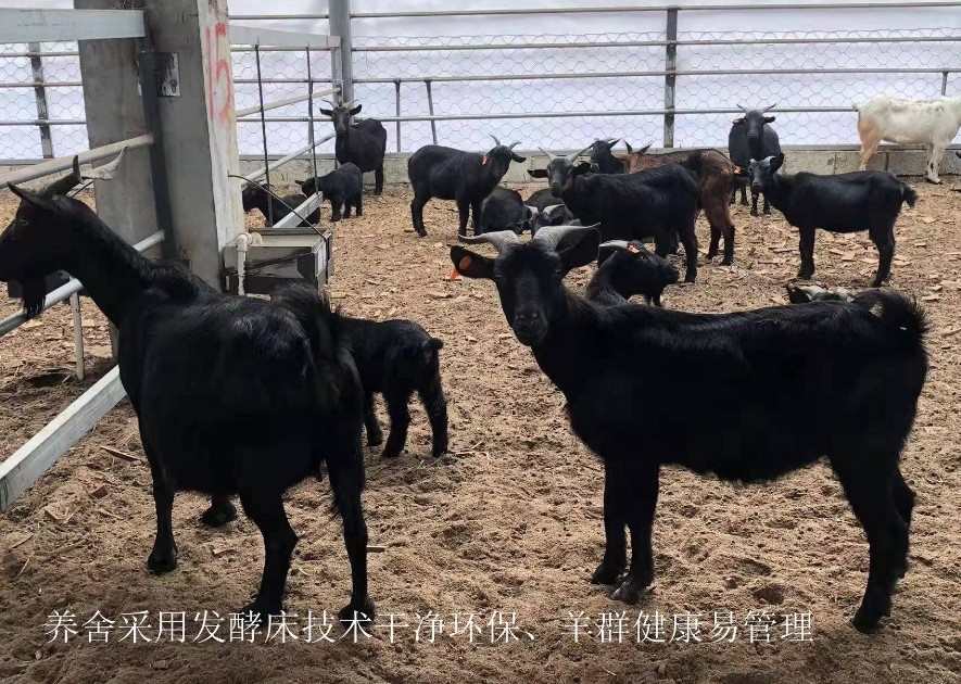 微信截圖_20250117113709.jpg 微信截圖_20250117113709.jpg