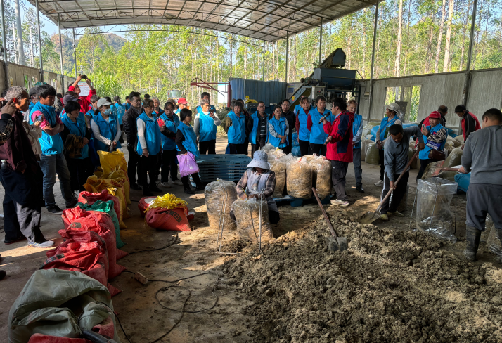 糖蔗濾泥(現場).png 糖蔗濾泥(現場).png