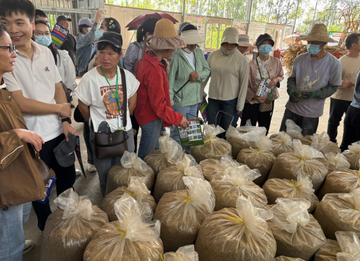 糖蔗濾泥(現場1).png 糖蔗濾泥(現場1).png