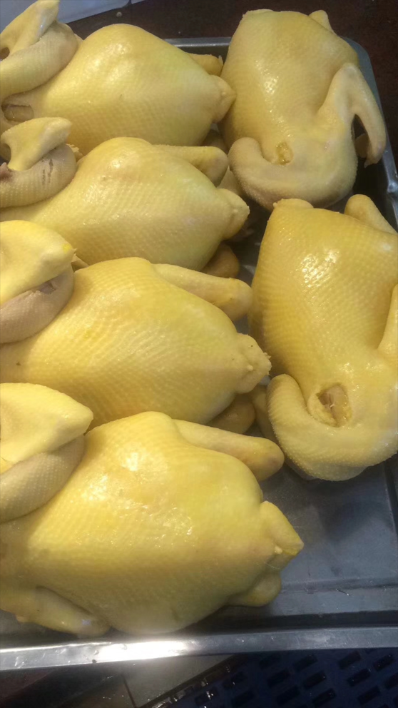 發酵牧草(肉雞2).png 發酵牧草(肉雞2).png