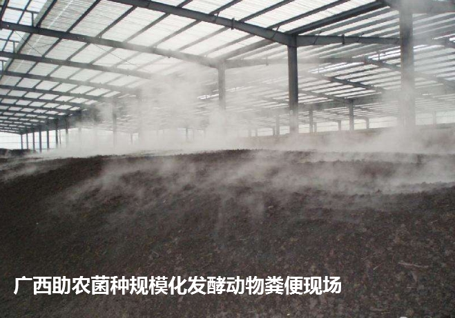 高熱腐熟菌(案例發(fā)酵現(xiàn)場).png 高熱腐熟菌(案例發(fā)酵現(xiàn)場).png