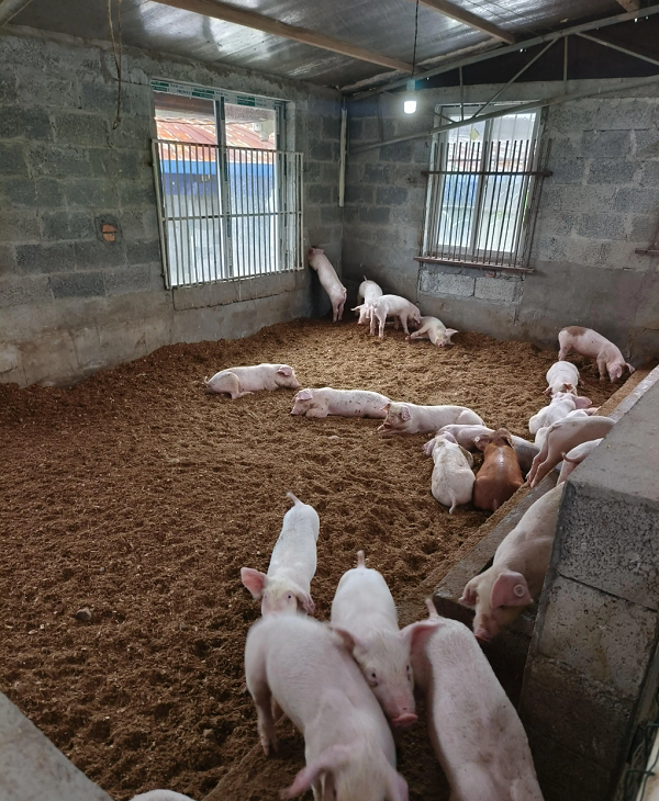 1737263411990.png 1737263411990.png