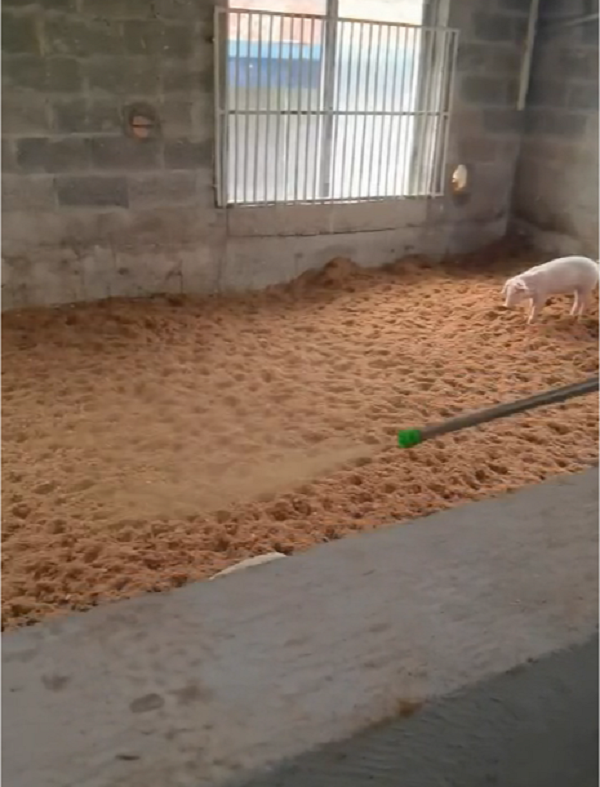 1737264350196.png 1737264350196.png