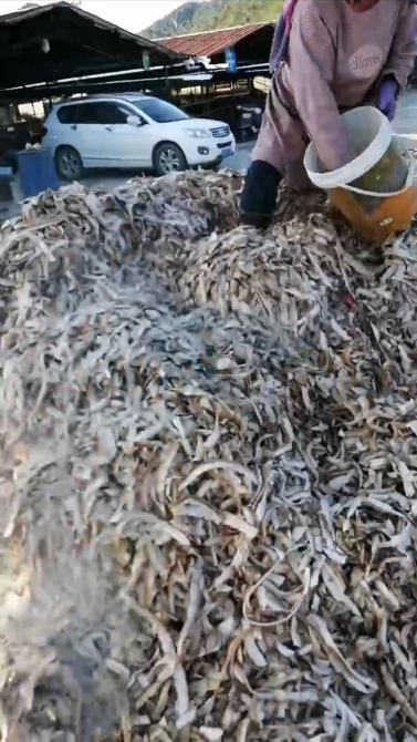 芋頭皮3.png 芋頭皮3.png