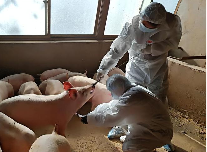 截圖20250206095835.png 截圖20250206095835.png