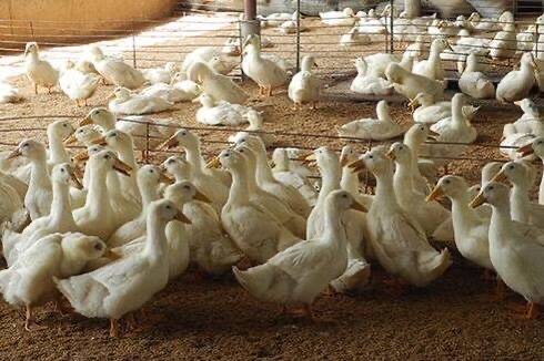 微信圖片_20250210103038.jpg 微信圖片_20250210103038.jpg