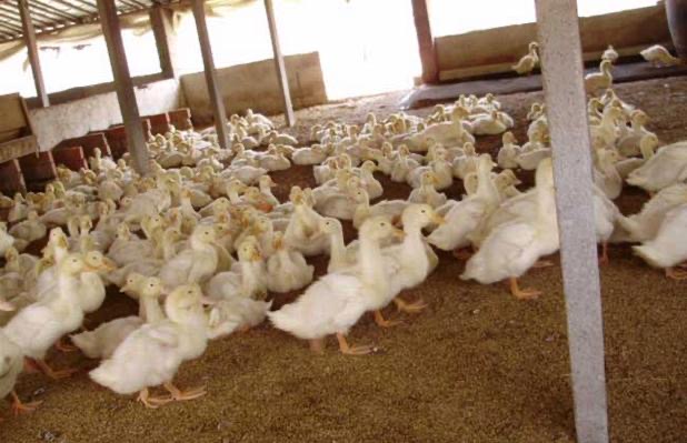 微信圖片_20250210103026.jpg 微信圖片_20250210103026.jpg