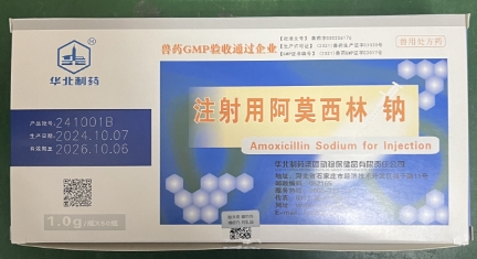 微信截圖_20250211100025.jpg 微信截圖_20250211100025.jpg