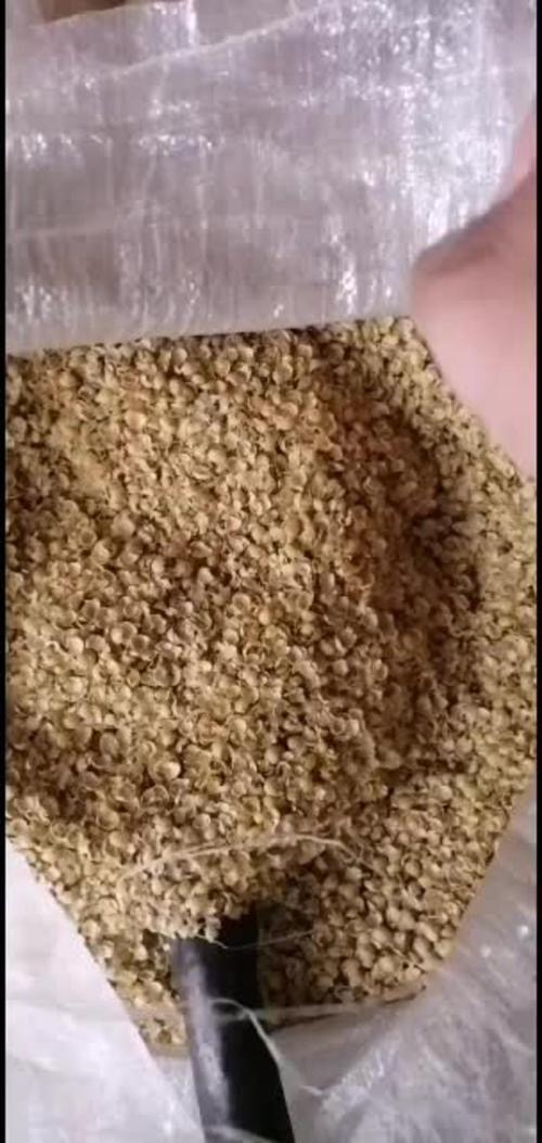 微信圖片_20250212102540.jpg 微信圖片_20250212102540.jpg