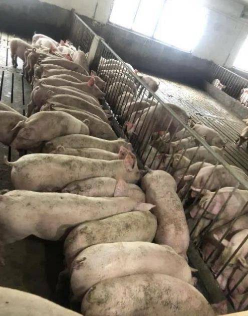 微信圖片_20250212102536.jpg 微信圖片_20250212102536.jpg